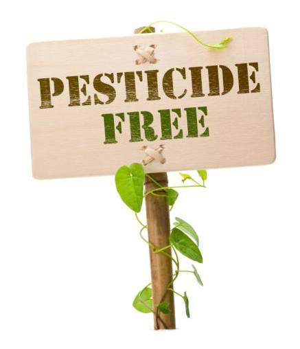 Pesticide Free sign with vines on the post