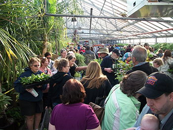 Shoppers browsing the greenhouse