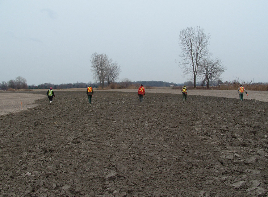 Archaeological field crew conducting a visual assessment of a field looking for artifacts