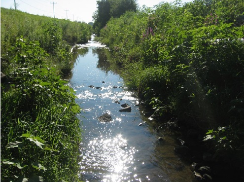 Litter River in sunlight