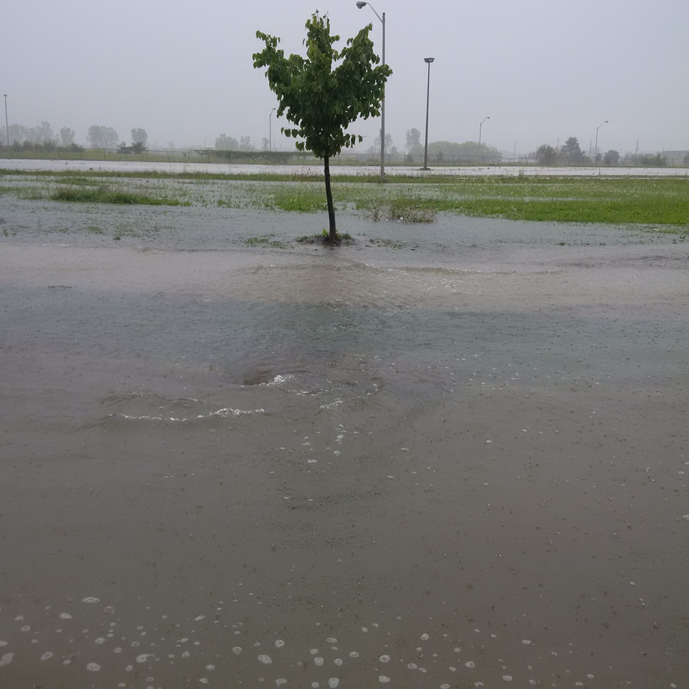 Weather photo of a flooded park