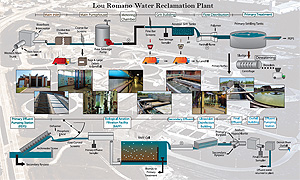 Process Flow Diagram