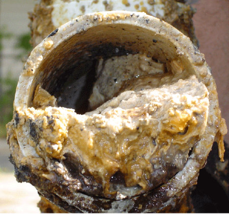 Inside of sewer pipe clogged with fat, oil and grease