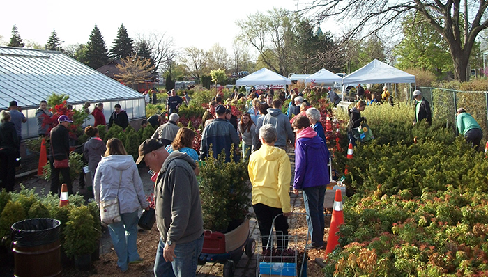 Shoppers browsing the Lanspeary yard