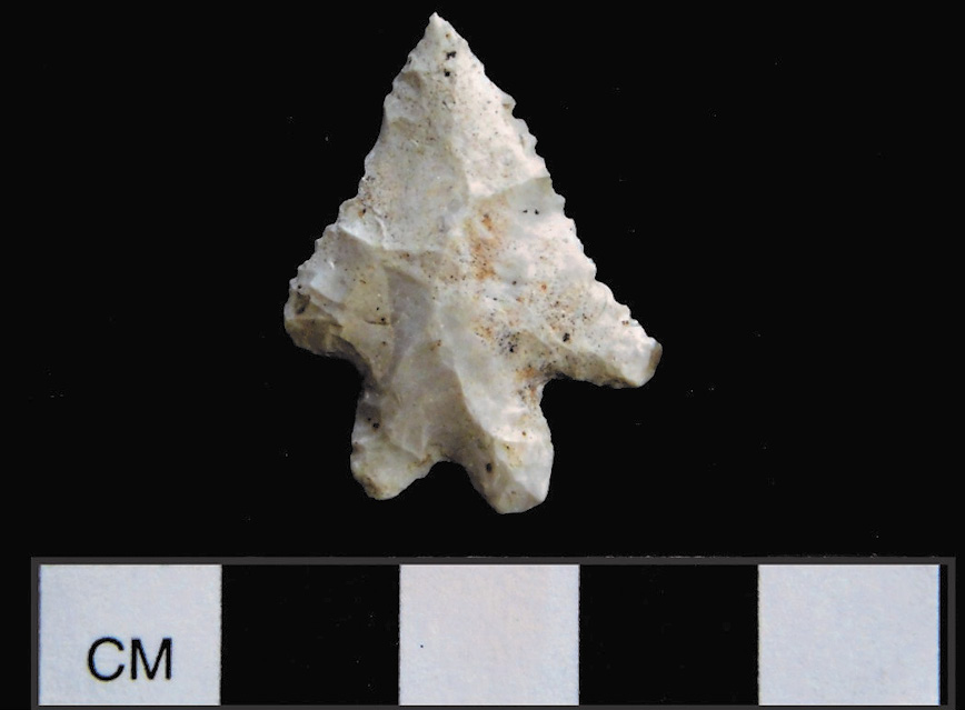 Indigenous bifurcate projectile point artifact