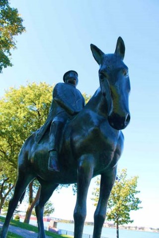 Business Man on a Horse - William McElcheran Business Man on a Horse - William McElcheran