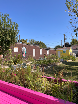 Clickable thumbnail, image of garden boxes with plants at Ford City Community Garden