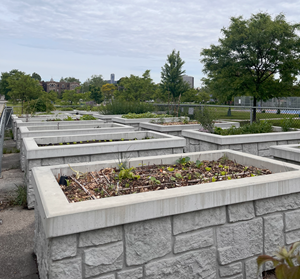 Clickable thumbnail, image of concrete, accessible garden boxes at Mitchell Park Community Garden