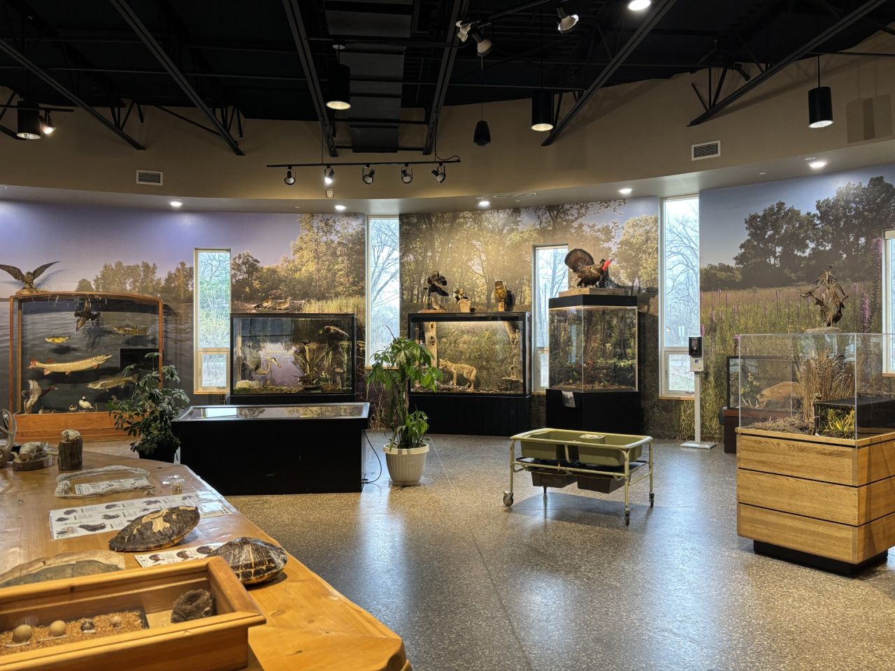 Interior ecological displays at Ojibway Nature Centre