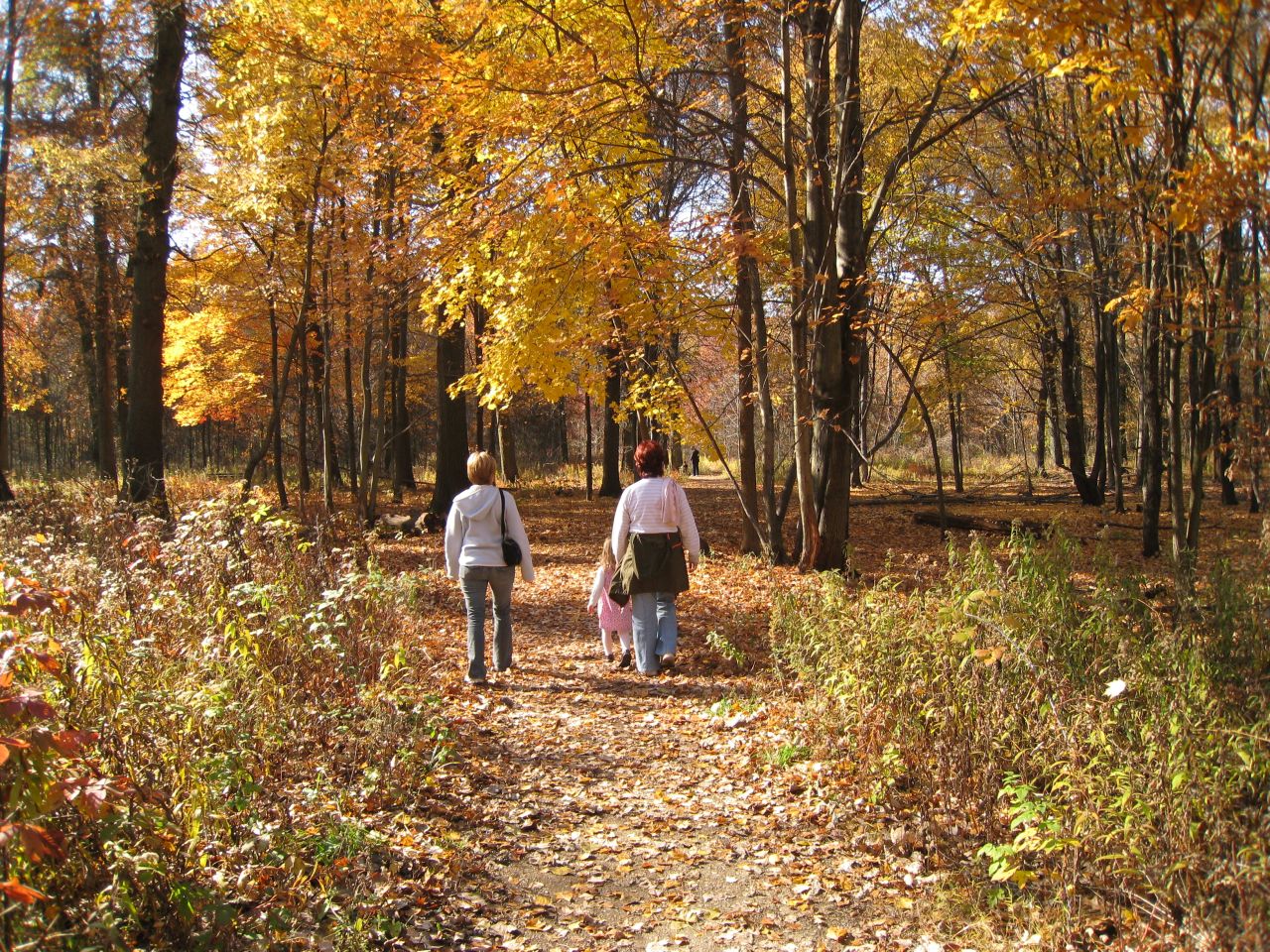 Visitors hiking in Ojibway Park during autumn
