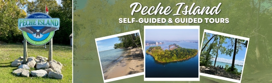 Peche Island Tours banner with collage including Peche Island welcome sign, a sandy coastline, aerial view of the island, and waterfront picnic tables in the shade
