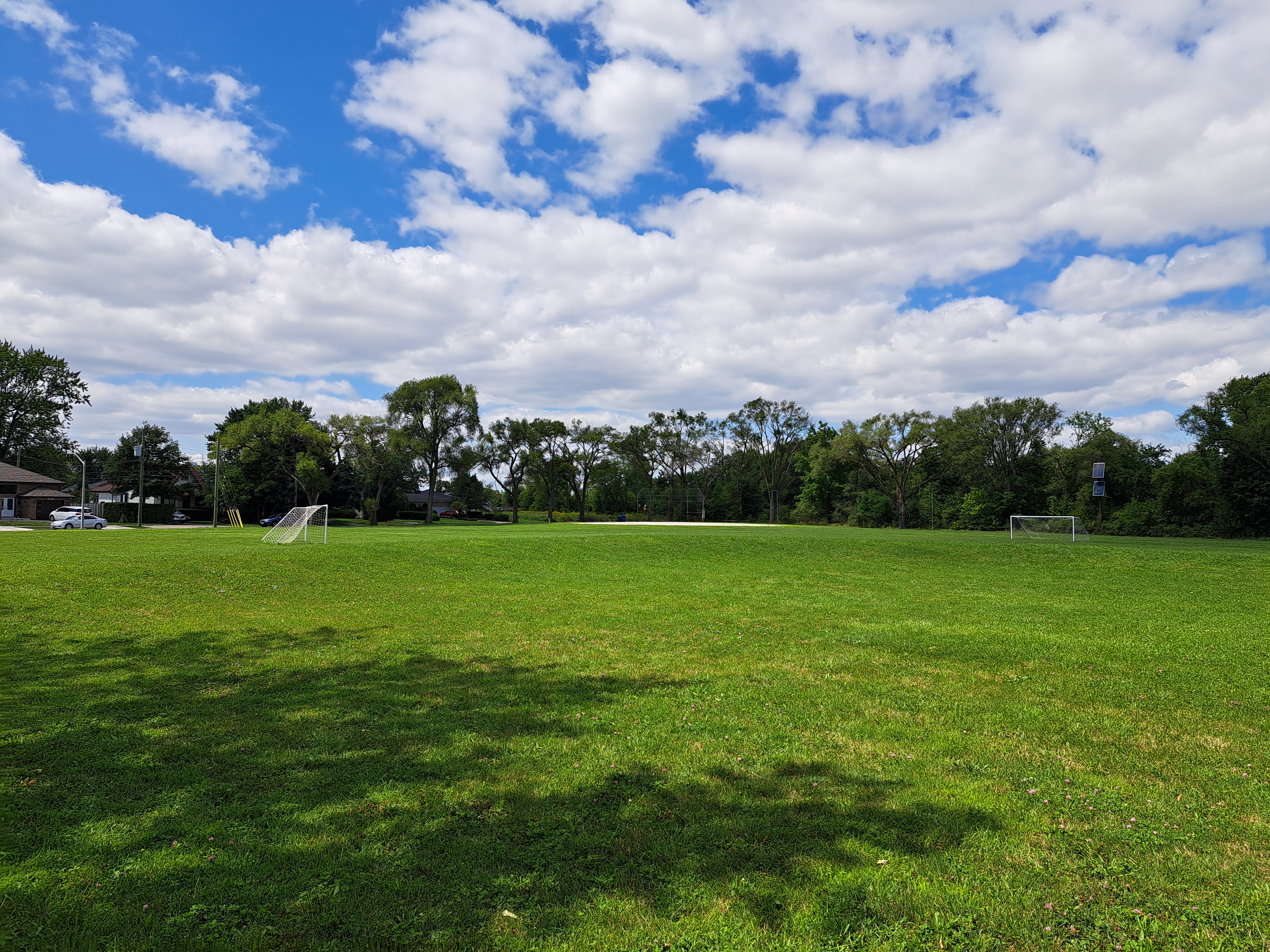 Chopin Park Large green turf area with soccer nets and baseball diamond in the distance